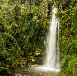 tours por colombia